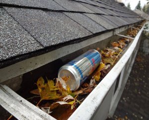 Gutter Cleaning