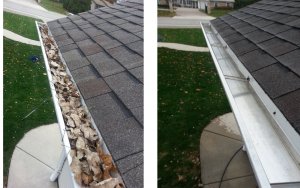 Gutter Cleaning