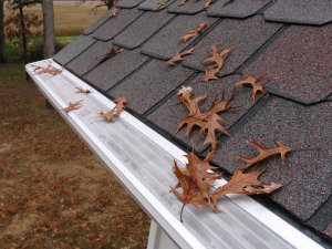 Springrock Gutter Guards